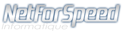NetForSpeed Informatique - 38210 Tullins
